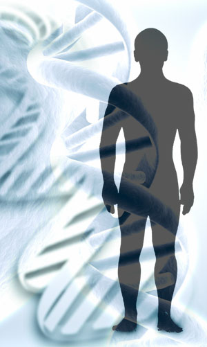 Post image for DECIFRANDO OS PRÓPRIOS GENES