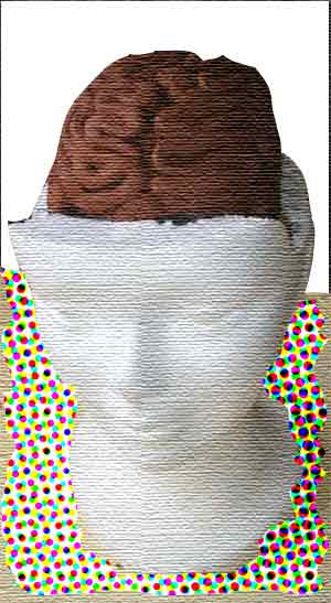 Post image for CÉREBRO, ESTÍMULO E SEXUALIDADE