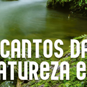 Encantos da natureza e eu, poesia que fala da natureza