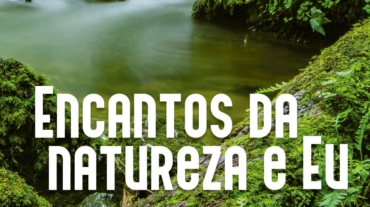 Encantos da natureza e eu, poesia que fala da natureza